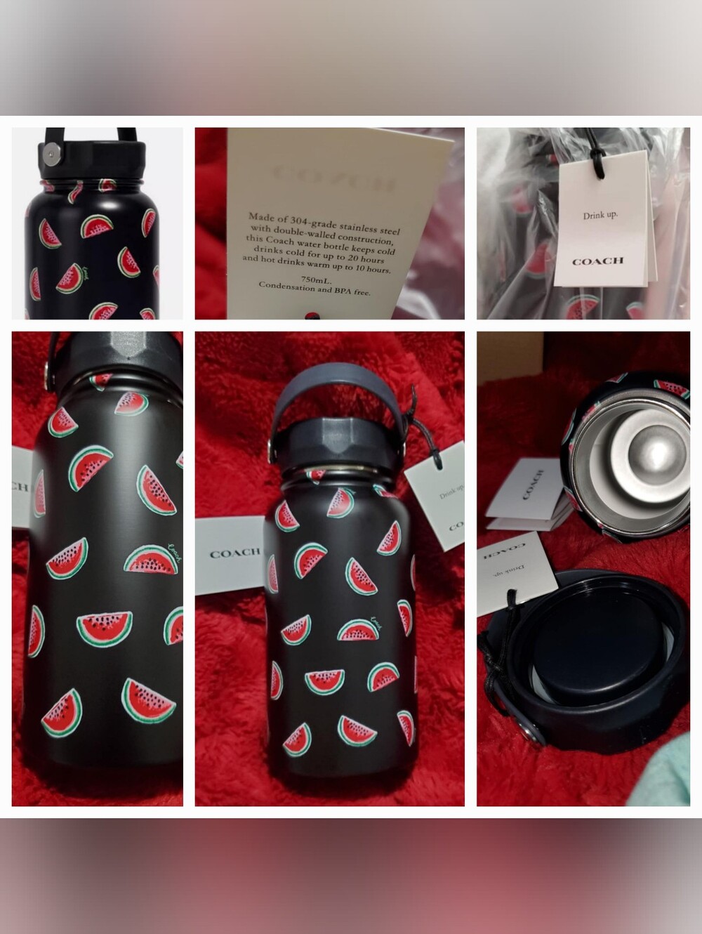 Coach Authentic Double Walled Stainless  Water Bottle with Watermelon Print NWT